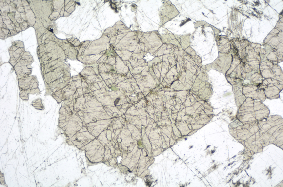 Pyroxène dans gabbro LPNA x6,3